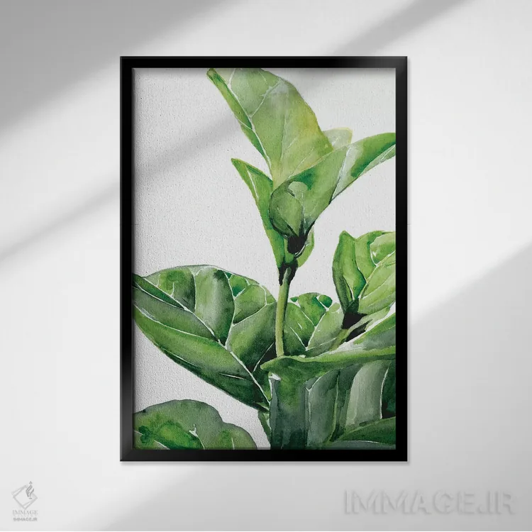 تابلو دکوراتیو انجیر فیدل ۱ اثر جنیفر پکستون پارکر - نمای قابدار مشکی