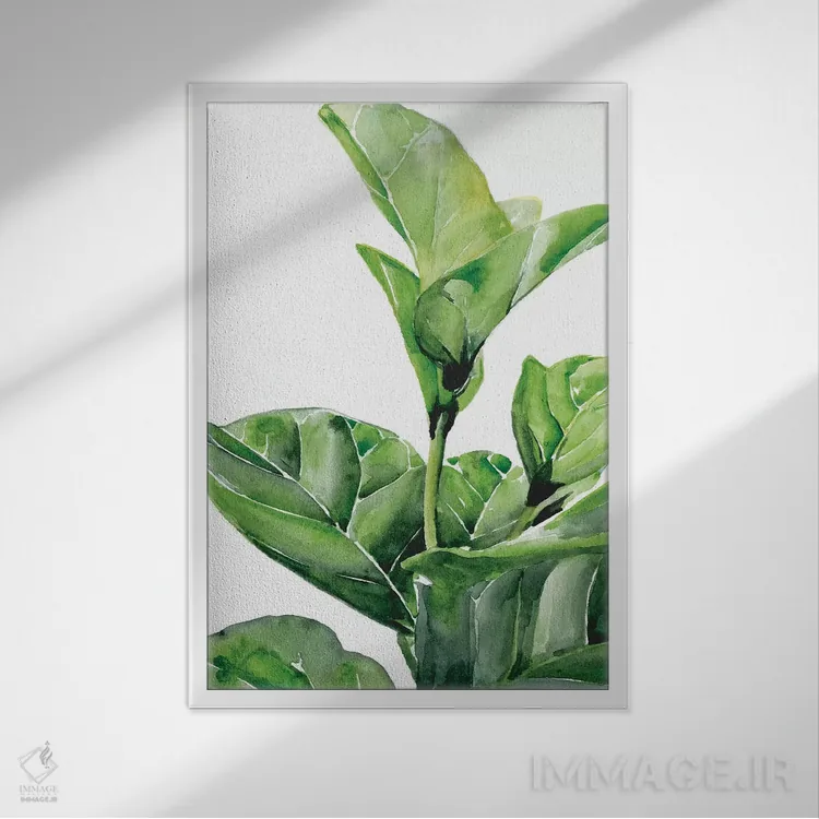 تابلو دکوراتیو انجیر فیدل ۱ اثر جنیفر پکستون پارکر - نمای قابدار سفید