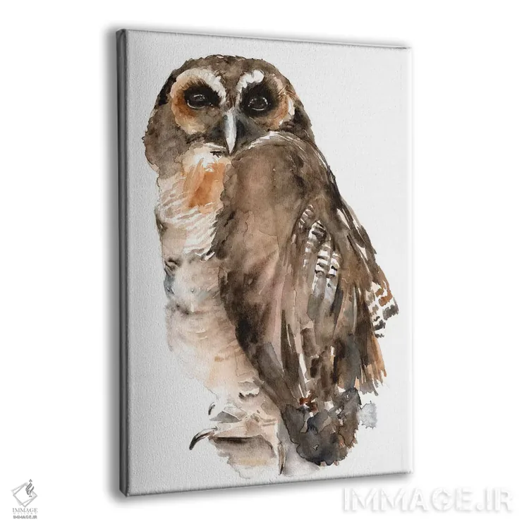 تابلو دکوراتیو جغد با آبرنگ ۱ اثر جنیفر پکستون پارکر - نمای پرسپکتیو محصول