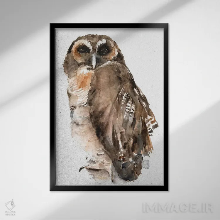 تابلو دکوراتیو جغد با آبرنگ ۱ اثر جنیفر پکستون پارکر - نمای قابدار مشکی