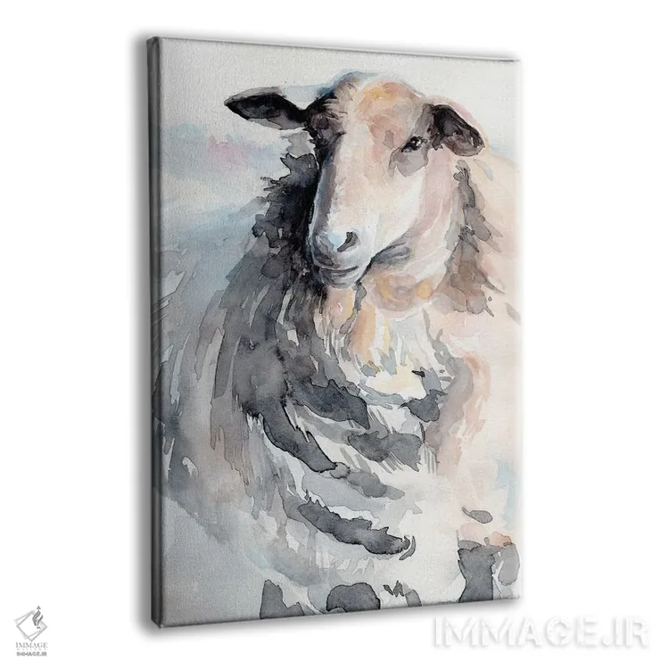تابلو مدرن گوسفند با آبرنگ ۲ اثر جنیفر پکستون پارکر - نمای پرسپکتیو محصول