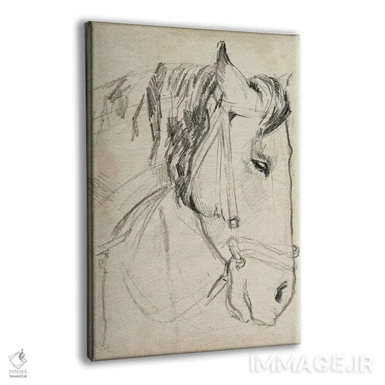 تابلو مدرن اسب با مهار به صورت طراحی ۱ اثر جنیفر پکستون پارکر - نمای پرسپکتیو محصول