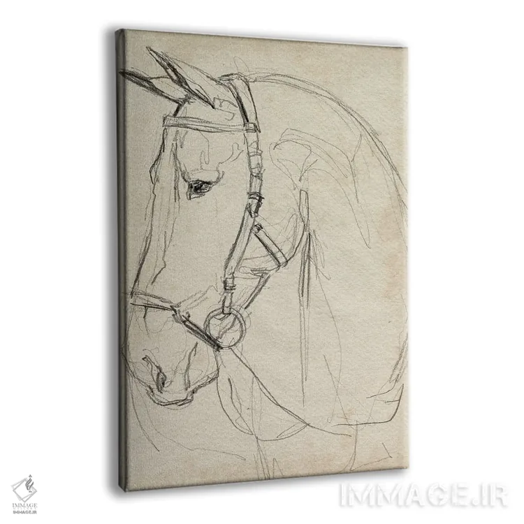 تابلو مدرن اسب با مهار به صورت طراحی ۲ اثر جنیفر پکستون پارکر - نمای پرسپکتیو محصول