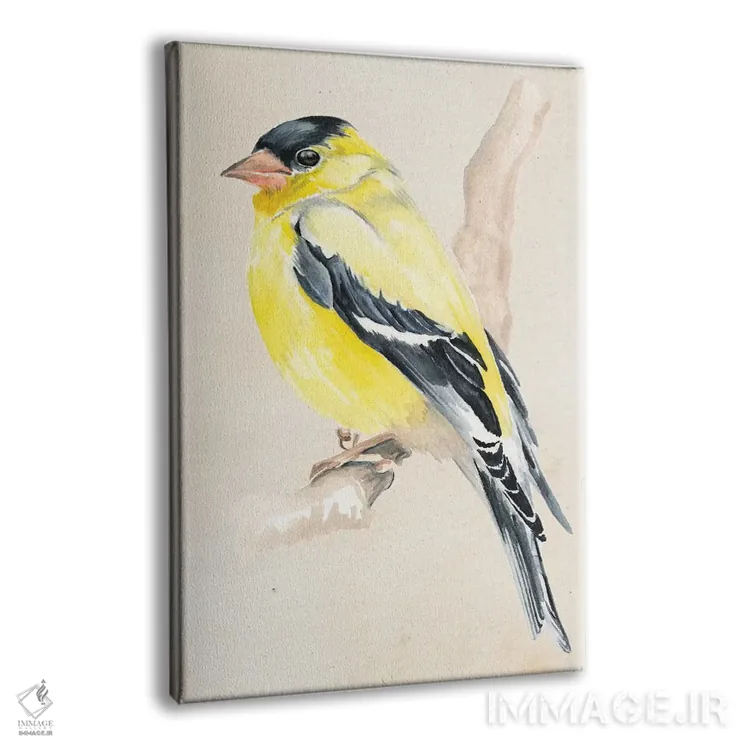 تابلو دکوراتیو پرنده کوچک روی شاخه ۳ اثر جنیفر پکستون پارکر - نمای پرسپکتیو محصول