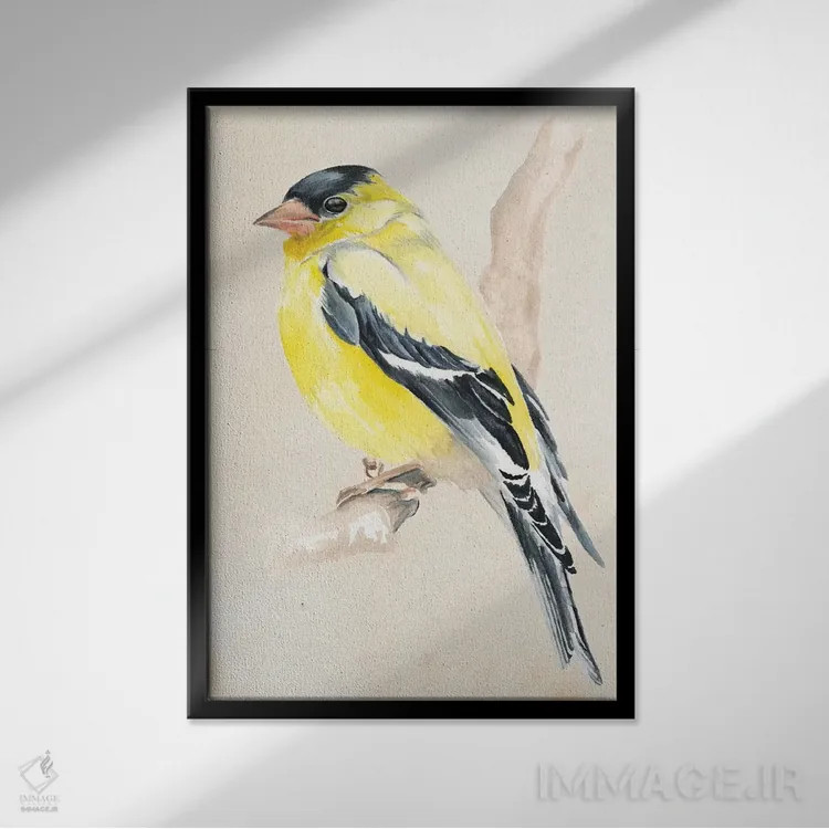 تابلو دکوراتیو پرنده کوچک روی شاخه ۳ اثر جنیفر پکستون پارکر - نمای قابدار مشکی