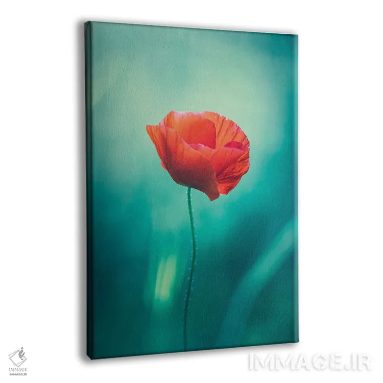 تابلو دکوراتیو شقایق تنها اثر جفرسون کاستلاری - نمای پرسپکتیو محصول