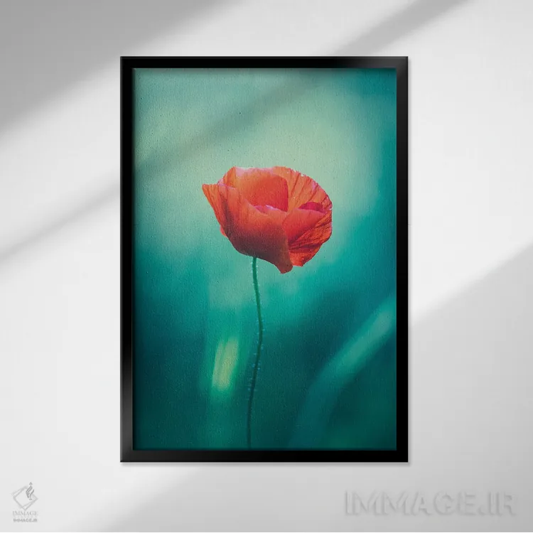 تابلو دکوراتیو شقایق تنها اثر جفرسون کاستلاری - نمای قابدار مشکی