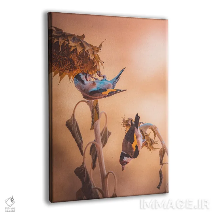 تابلو دکوراتیو سهره ها در حال خوردن بر روی گل های آفتابگردان اثر جفرسون کاستلاری - نمای پرسپکتیو محصول