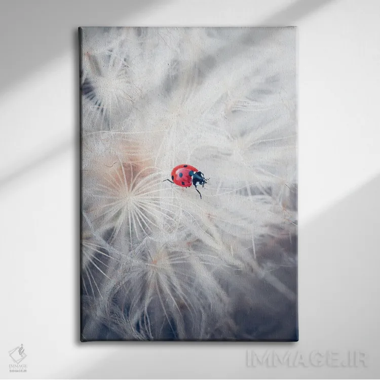 تابلو دکوراتیو کفشدوزک قرمز در حال راه رفتن روی گل آذین قاصدک غول پیکر اثر جفرسون کاستلاری - نمای روبهرو روی دیوار