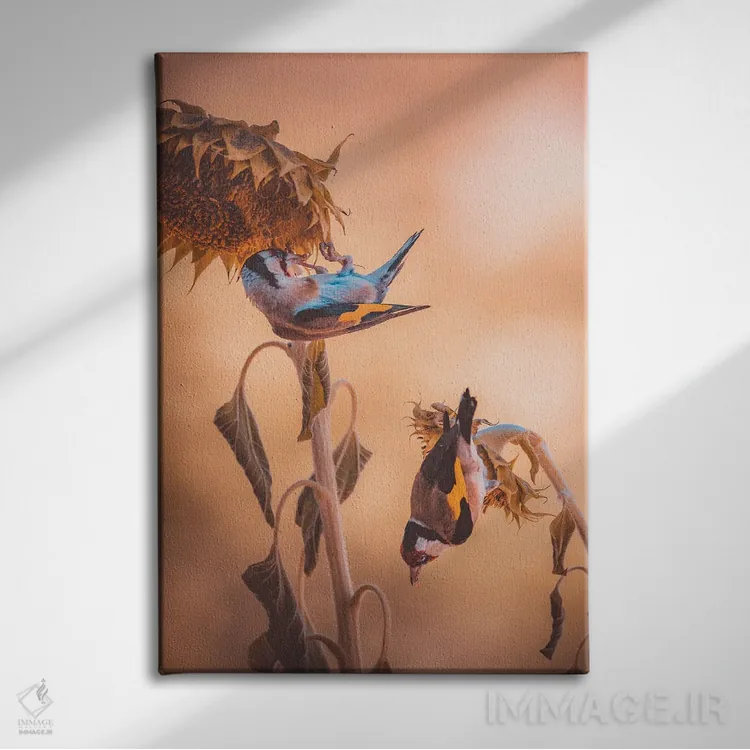 تابلو دکوراتیو سهره ها در حال خوردن بر روی گل های آفتابگردان اثر جفرسون کاستلاری - نمای روبهرو روی دیوار