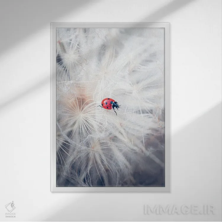 تابلو دکوراتیو کفشدوزک قرمز در حال راه رفتن روی گل آذین قاصدک غول پیکر اثر جفرسون کاستلاری - نمای قابدار سفید