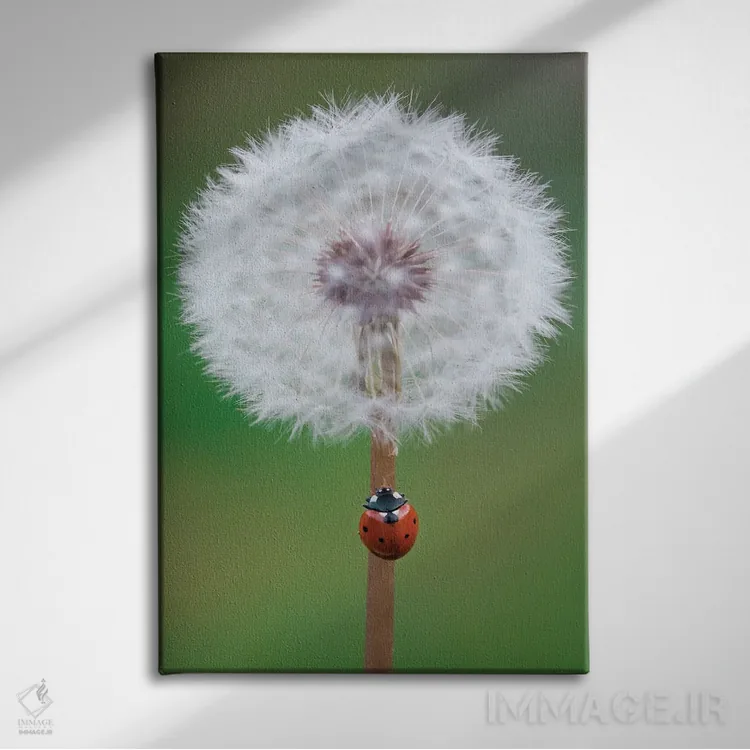 تابلو دکوراتیو کفشدوزک روی قاصدک اثر جفرسون کاستلاری - نمای روبهرو روی دیوار