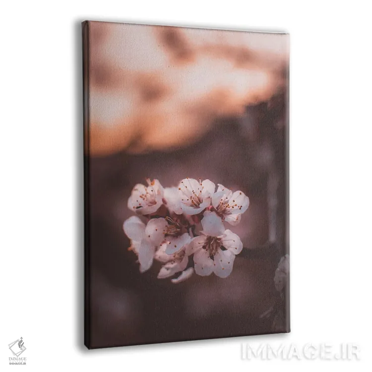 تابلو دکوراتیو شکوفه های زردآلو اثر جفرسون کاستلاری - نمای پرسپکتیو محصول