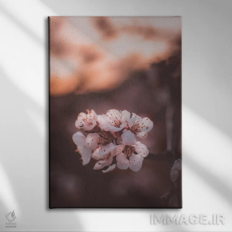 تابلو دکوراتیو شکوفه های زردآلو اثر جفرسون کاستلاری - نمای روبهرو روی دیوار