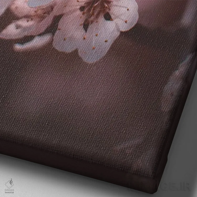 تابلو دکوراتیو شکوفه های زردآلو اثر جفرسون کاستلاری - نمای نزدیک بافت بوم