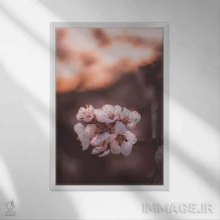 تابلو دکوراتیو شکوفه های زردآلو اثر جفرسون کاستلاری - نمای قابدار سفید