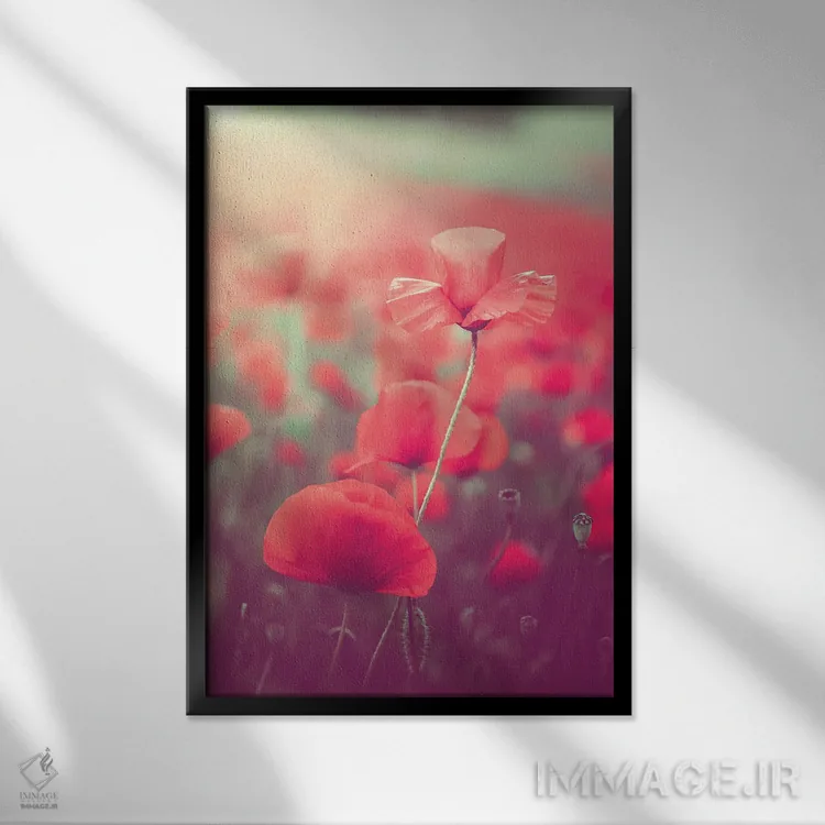 تابلو دکوراتیو شقایق در مزرعه شقایق ها اثر جفرسون کاستلاری - نمای قابدار مشکی
