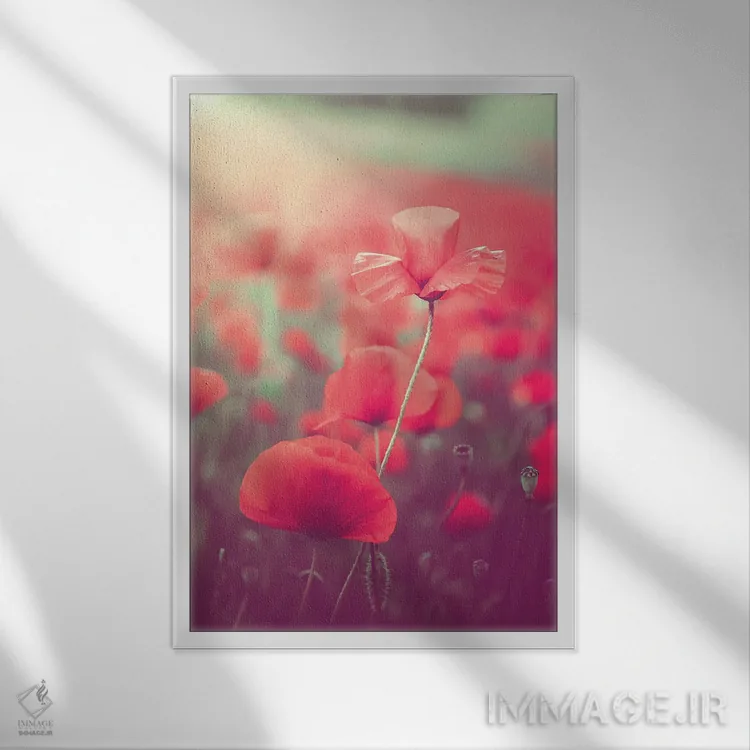 تابلو دکوراتیو شقایق در مزرعه شقایق ها اثر جفرسون کاستلاری - نمای قابدار سفید