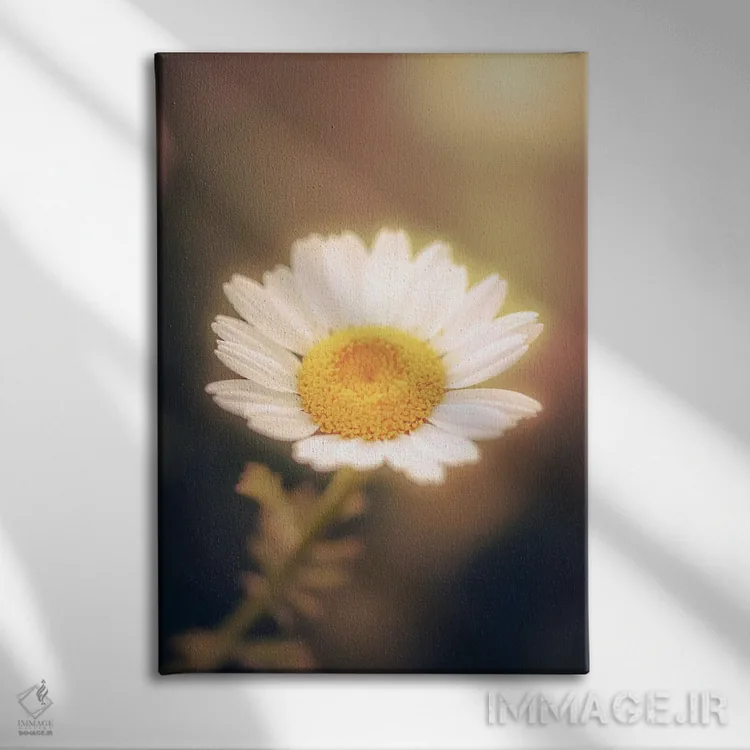 تابلو دکوراتیو نمای نزدیک گل بابونه اثر جفرسون کاستلاری - نمای روبهرو روی دیوار