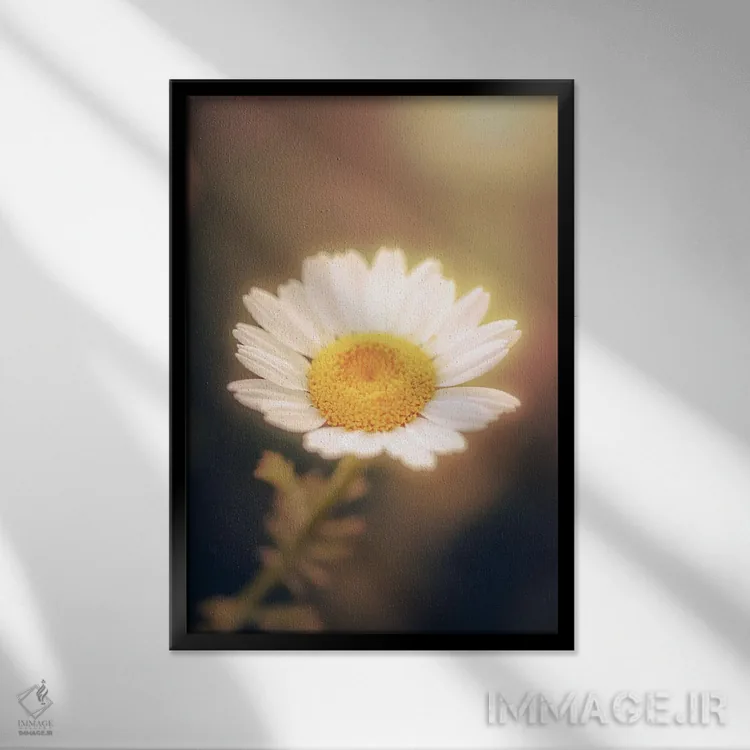 تابلو دکوراتیو نمای نزدیک گل بابونه اثر جفرسون کاستلاری - نمای قابدار مشکی