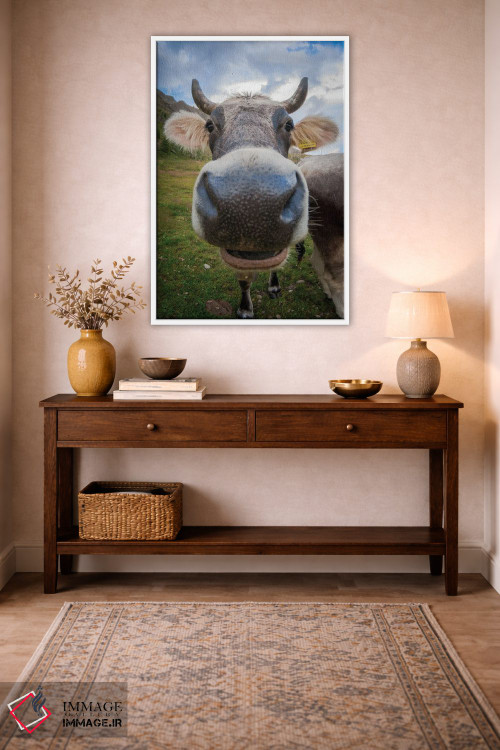 تابلو دکوراتیو نمای نزدیک چشم ماهی از یک گاو با حالت بامزه اثر جفرسون کاستلاری - D2W