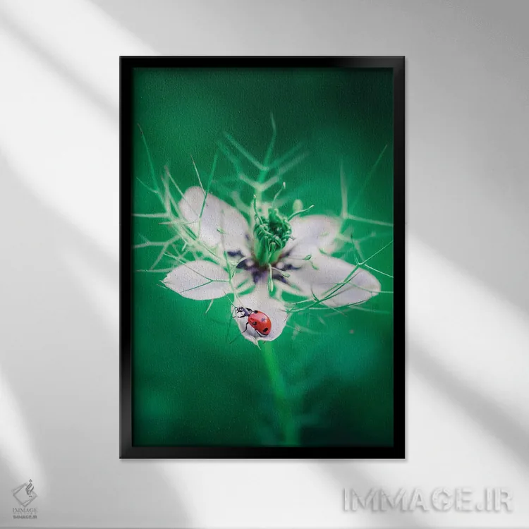 تابلو دکوراتیو کفشدوزک قرمز اثر جفرسون کاستلاری - نمای قابدار مشکی