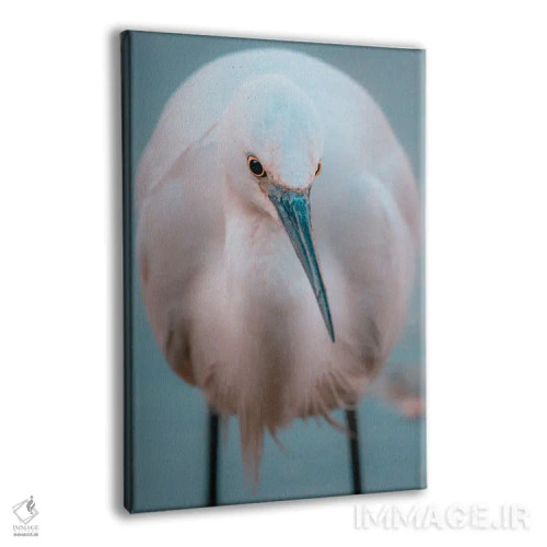 تابلو دکوراتیو پرتره یک اگرت اثر جفرسون کاستلاری - نمای پرسپکتیو محصول