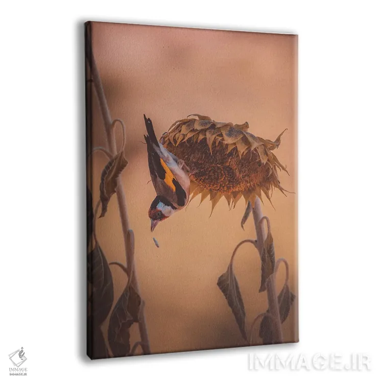 تابلو دکوراتیو سهره طلایی روی آفتابگردان اثر جفرسون کاستلاری - نمای پرسپکتیو محصول