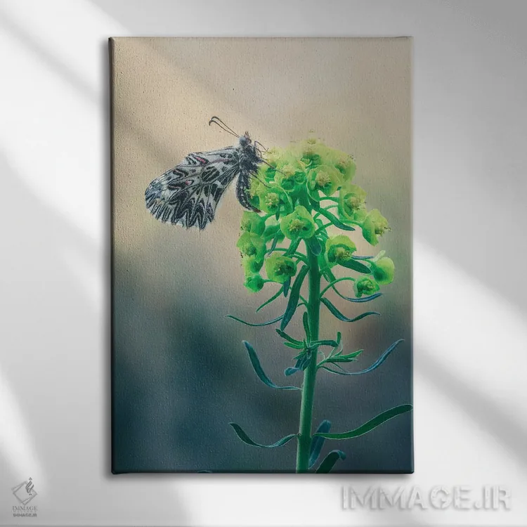 تابلو دکوراتیو زرینتیا کاساندرا روی گل اثر جفرسون کاستلاری - نمای روبهرو روی دیوار