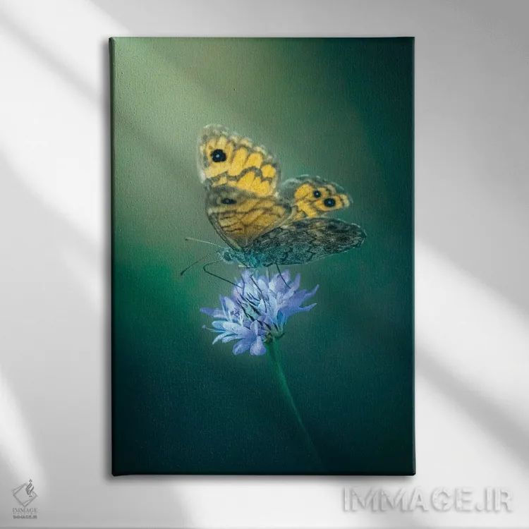 تابلو دکوراتیو پروانه روی گل اثر جفرسون کاستلاری - نمای روبهرو روی دیوار