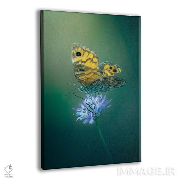 تابلو دکوراتیو پروانه روی گل اثر جفرسون کاستلاری - نمای پرسپکتیو محصول