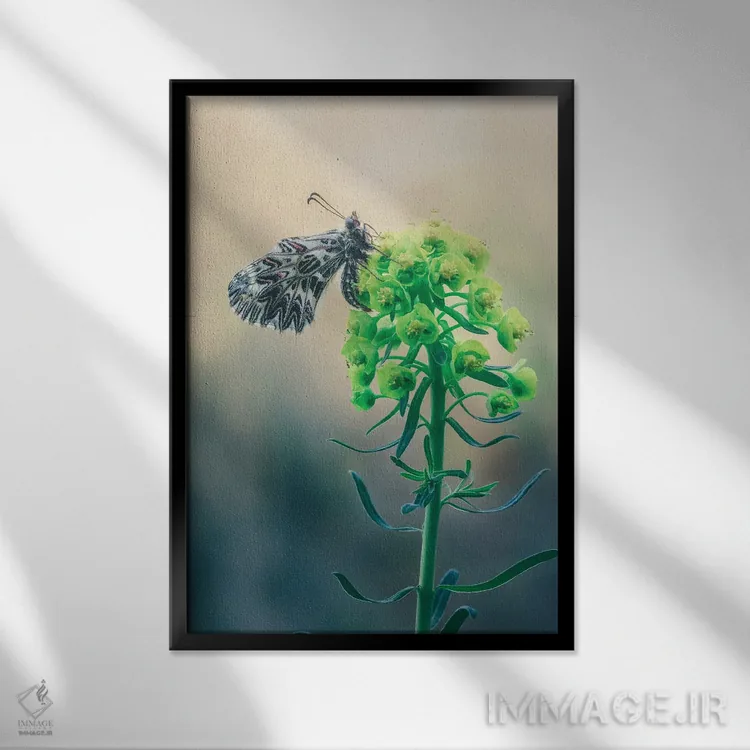 تابلو دکوراتیو زرینتیا کاساندرا روی گل اثر جفرسون کاستلاری - نمای قابدار مشکی