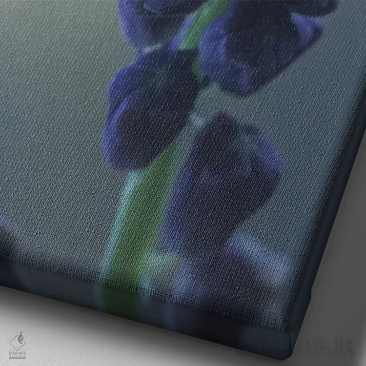 تابلو دکوراتیو پروانه روی گل لامپاسونه اثر جفرسون کاستلاری - نمای نزدیک بافت بوم