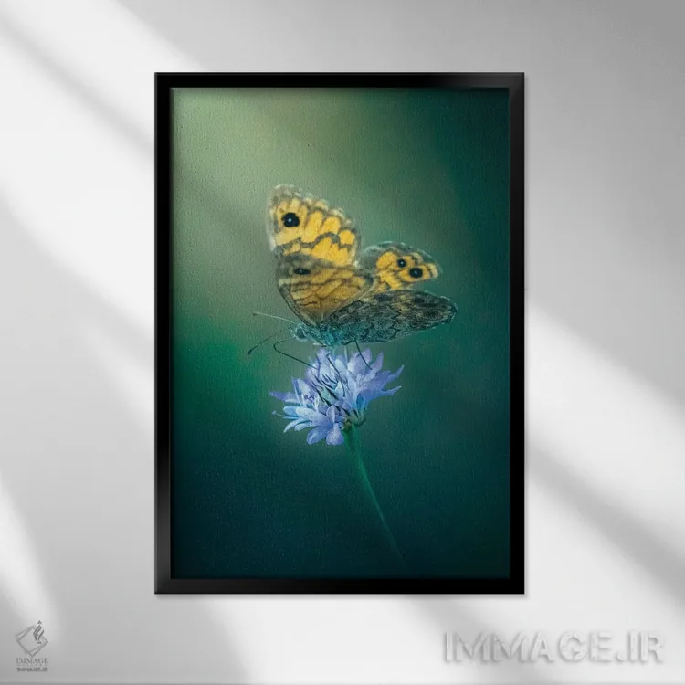 تابلو دکوراتیو پروانه روی گل اثر جفرسون کاستلاری - نمای قابدار مشکی