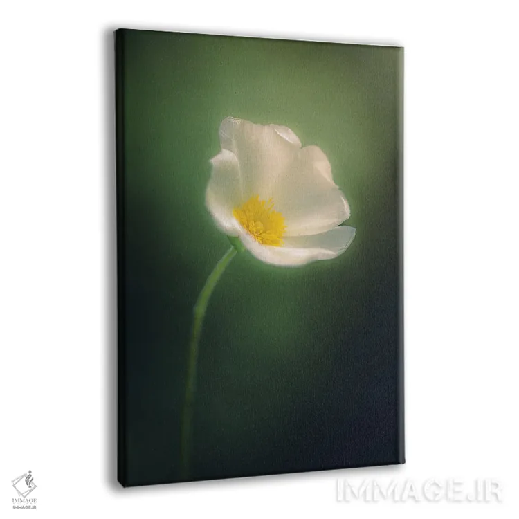 تابلو دکوراتیو گل وحشی در فضایی رویایی اثر جفرسون کاستلاری - نمای پرسپکتیو محصول