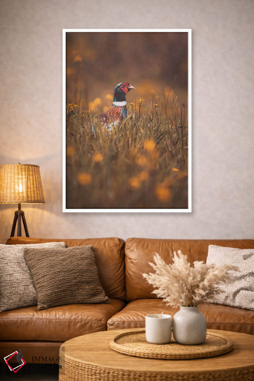 تابلو دکوراتیو قرقاول نر در حال سرک کشیدن اثر جفرسون کاستلاری - D4W