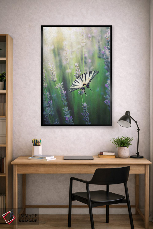 تابلو دکوراتیو پروانه زیبای ایفیکلیدس پودالریوس روی گل های اسطوخودوس اثر جفرسون کاستلاری - D1B