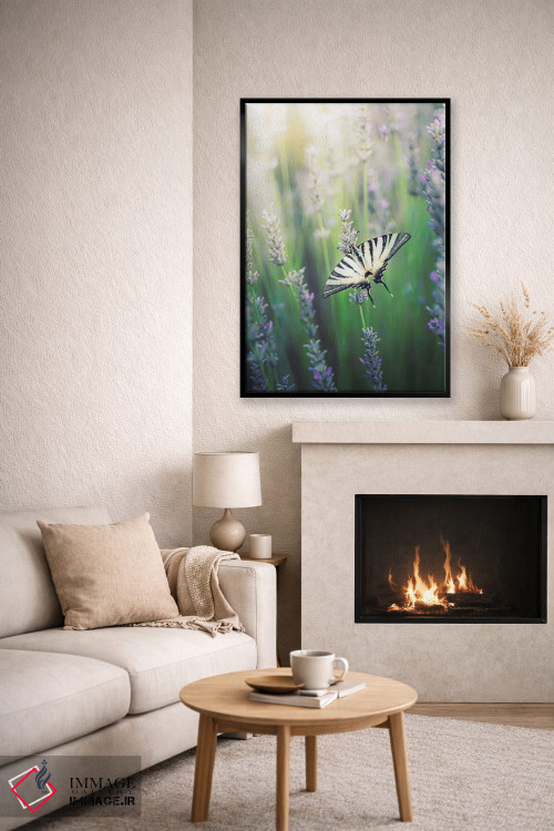 تابلو دکوراتیو پروانه زیبای ایفیکلیدس پودالریوس روی گل های اسطوخودوس اثر جفرسون کاستلاری - D6B