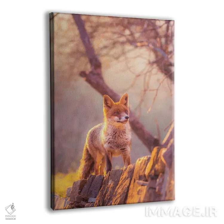 تابلو دکوراتیو روباه قرمز در غروب اثر جفرسون کاستلاری - نمای پرسپکتیو محصول