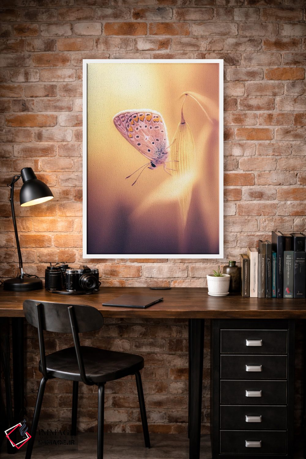 تابلو دکوراتیو پروانه کوچک میان یولاف های وحشی اثر جفرسون کاستلاری - D4W