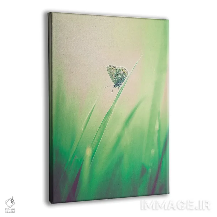 تابلو دکوراتیو پروانه کوچک در علفزار اثر جفرسون کاستلاری - نمای پرسپکتیو محصول