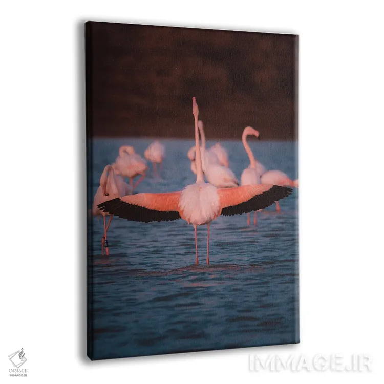 تابلو دکوراتیو نمای پشت فلامینگو با بال های باز نشان دهنده زیبایی آن اثر جفرسون کاستلاری - نمای پرسپکتیو محصول