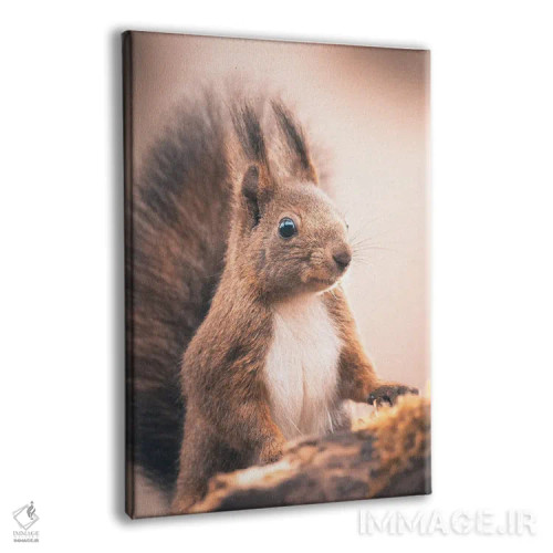 تابلو دکوراتیو سنجاب قرمز اثر جفرسون کاستلاری - نمای پرسپکتیو محصول