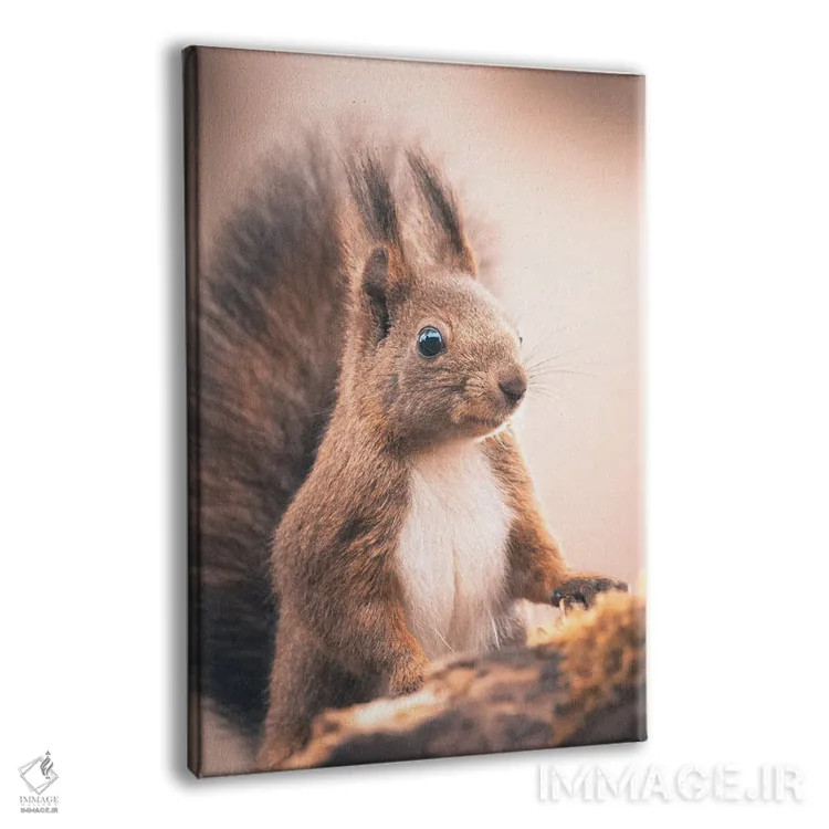 تابلو دکوراتیو سنجاب قرمز اثر جفرسون کاستلاری - نمای پرسپکتیو محصول