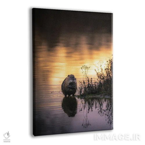 تابلو دکوراتیو نوترینا در حال آب تنی هنگام غروب اثر جفرسون کاستلاری - نمای پرسپکتیو محصول