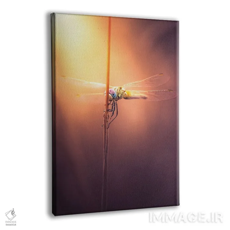 تابلو دکوراتیو سنـجاقک در غروب اثر جفرسون کاستلاری - نمای پرسپکتیو محصول