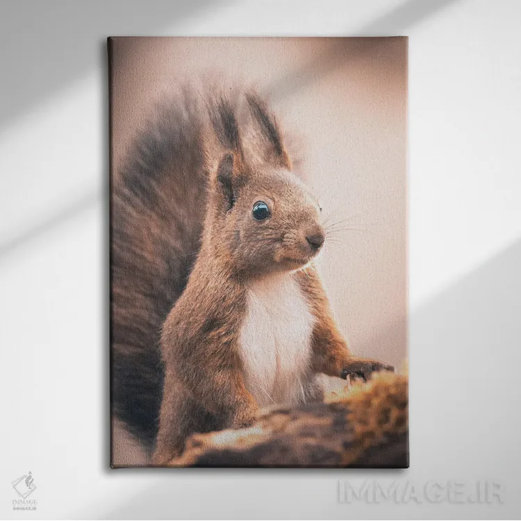 تابلو دکوراتیو سنجاب قرمز اثر جفرسون کاستلاری - نمای روبهرو روی دیوار