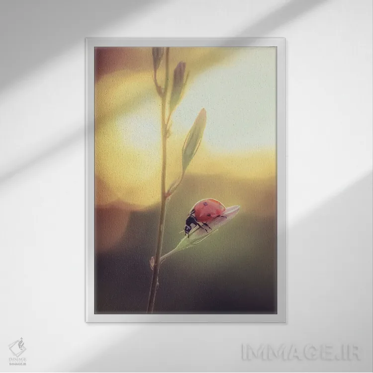 تابلو دکوراتیو کفشدوزک قرمز روی گل ناقوسک اثر جفرسون کاستلاری - نمای قابدار سفید