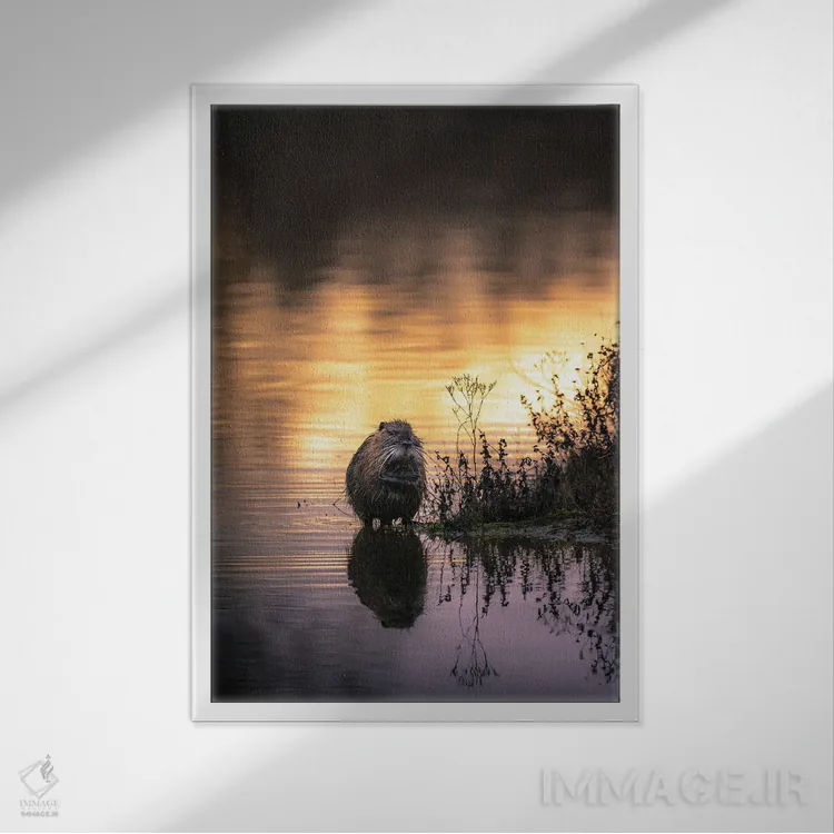 تابلو دکوراتیو نوترینا در حال آب تنی هنگام غروب اثر جفرسون کاستلاری - نمای قابدار سفید