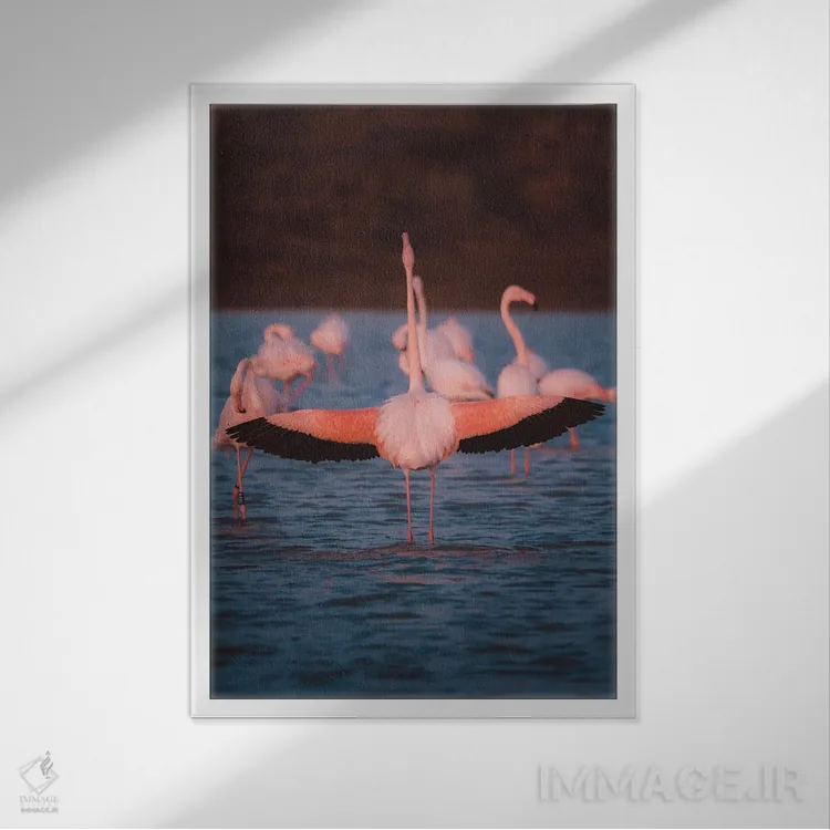 تابلو دکوراتیو نمای پشت فلامینگو با بال های باز نشان دهنده زیبایی آن اثر جفرسون کاستلاری - نمای قابدار سفید